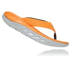 Sneaker Hub Shop -Sneaker Hub Shop 1099675 BOLR 2