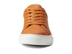 Dingo Volley -Sneaker Hub Shop 61E50aSZuhL