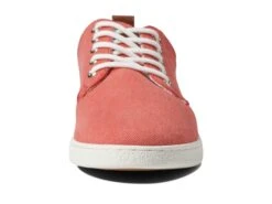 Steve Madden Mykka -Sneaker Hub Shop 61gzz2VPP L