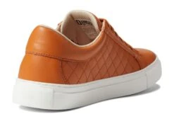 Dingo Volley -Sneaker Hub Shop 61m1msF6abL