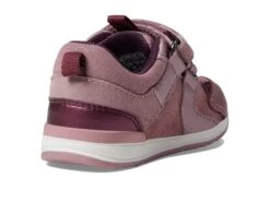 Geox Kids Rishon 41 (Toddler) 12 Geox Kids Rishon 41 (Toddler) -Sneaker Hub Shop 718P8ELe9XL