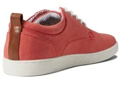 Steve Madden Mykka -Sneaker Hub Shop 71drXlkxQrL